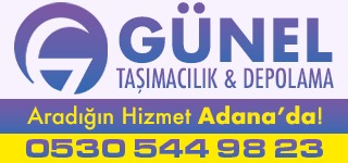 Adana Günel Evden Eve Taşımacılık Depolama