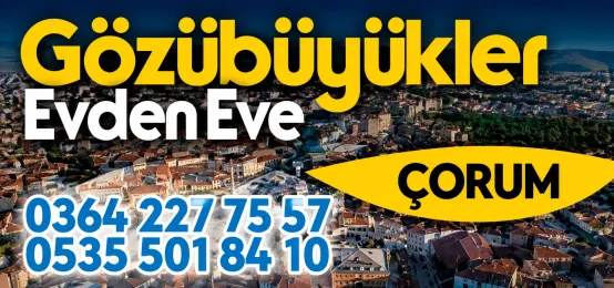 Gözübüyükler Taşımacılık