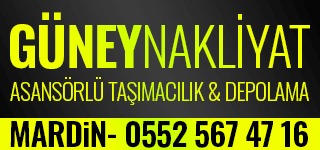 MARDIN GÜNEY NAKLIYAT