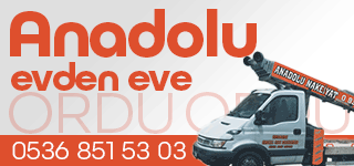 Ordu Anadolu Asansörlü Nakliyat