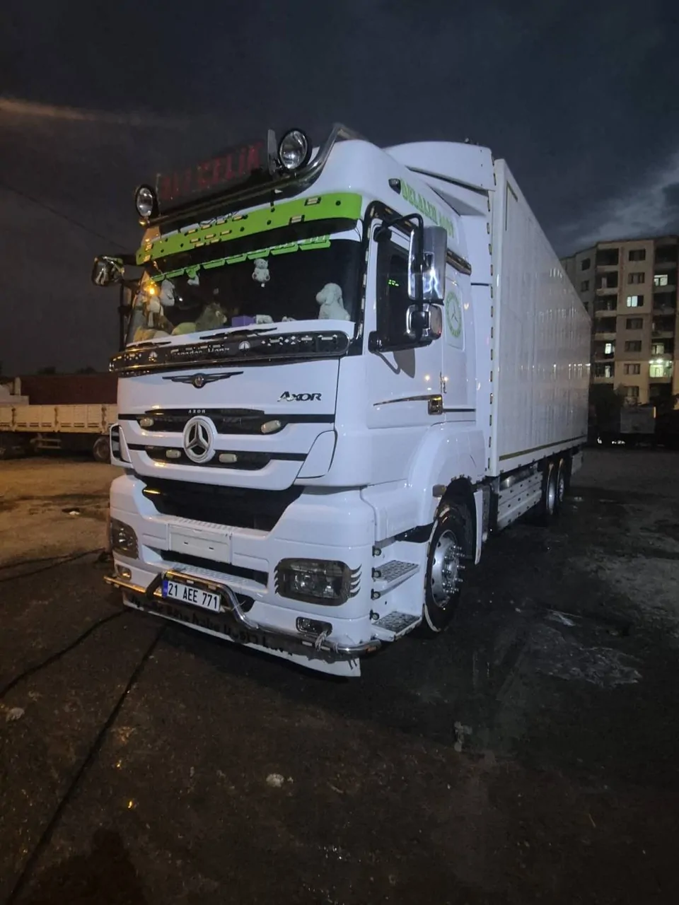 Dosta gider 2640 – fotoğraf 2
