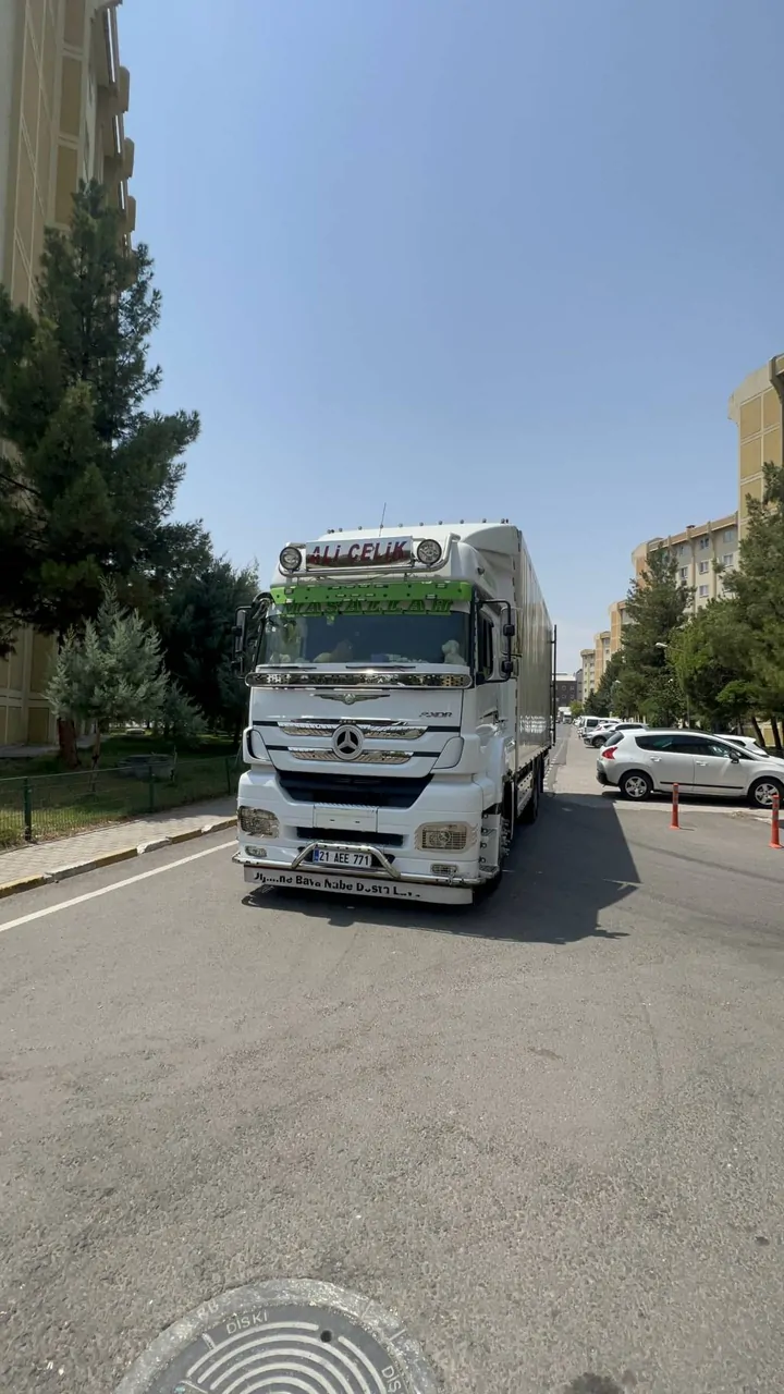 Dosta gider 2640 – fotoğraf 4