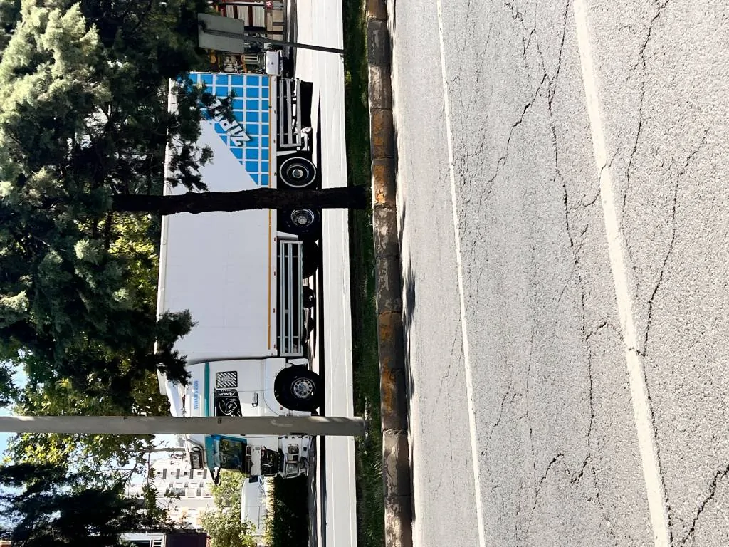 Beyaz kelebek satışta – fotoğraf 6
