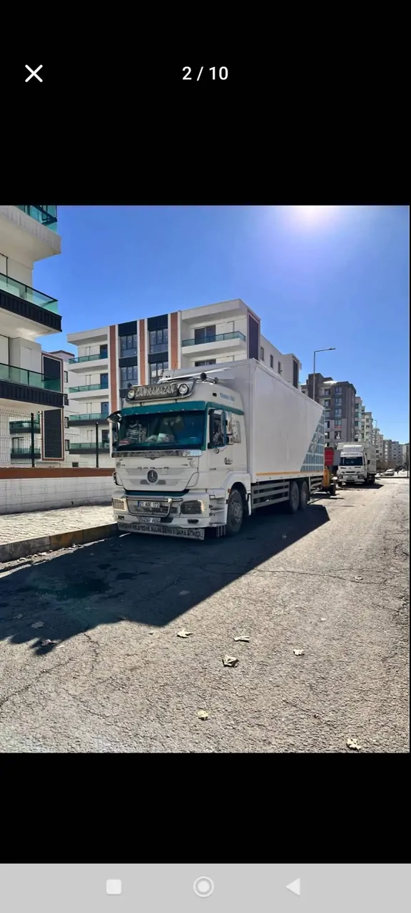 Satılık beyaz kartal – fotoğraf 5
