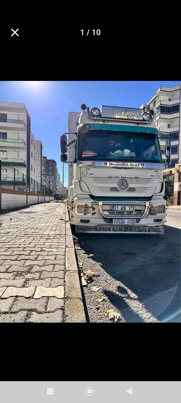 Satılık beyaz kartal – fotoğraf 6