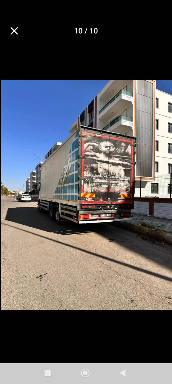 Satılık beyaz kartal – fotoğraf 1