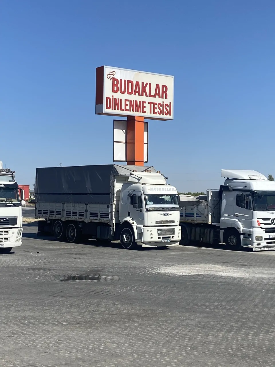 tertemiz hazırtezga 2524 cargo – fotoğraf 2