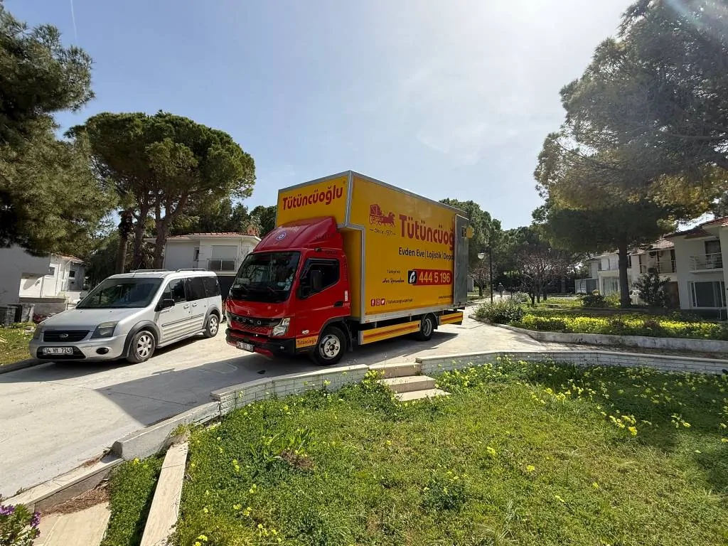 Kırmızı gül satılık – fotoğraf 2