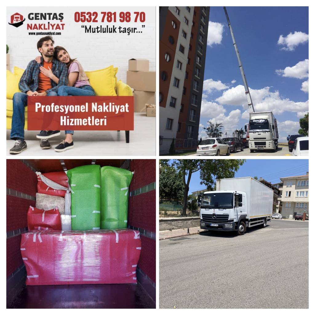 Gentaş Nakliyat galerisi, fotoğraf 3
