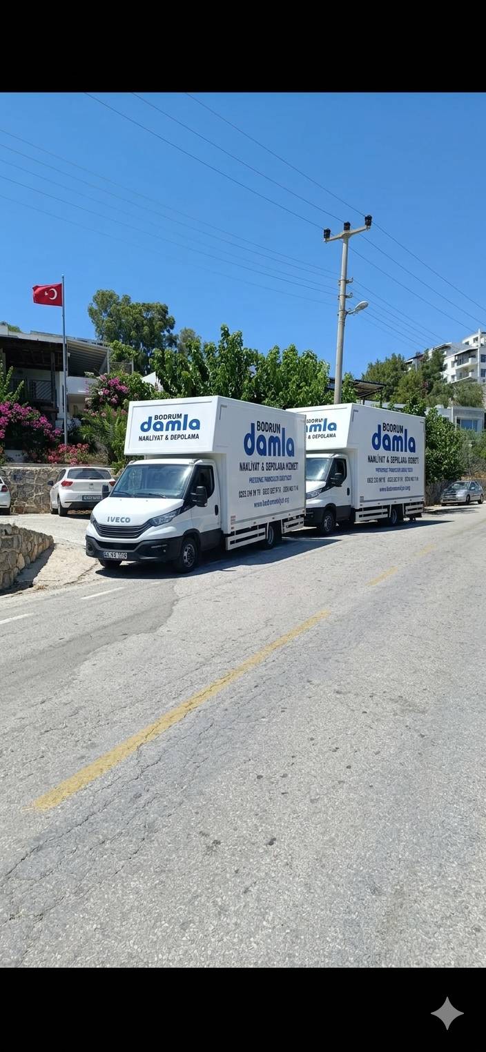 DAMLA NAKLİYAT