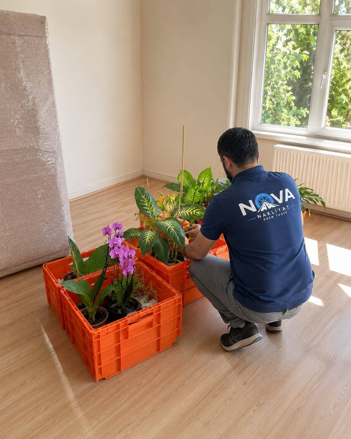 Nova nakliyat